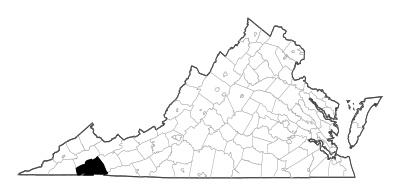 Washington County in Virginia