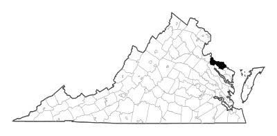 Westmoreland County in Virginia