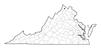 Winchester County in Virginia