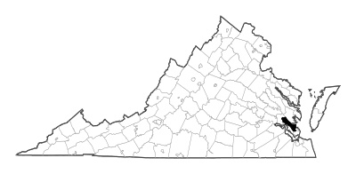 York County in Virginia