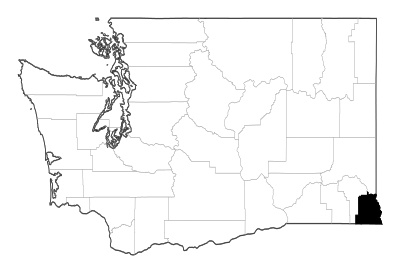 Asotin County in Washington