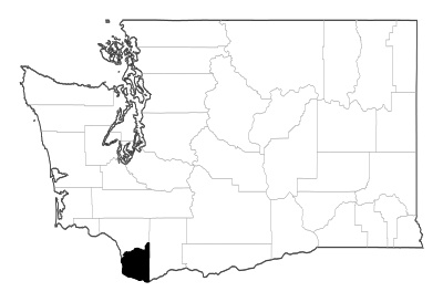 Clark County in Washington