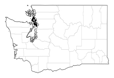 Island County in Washington