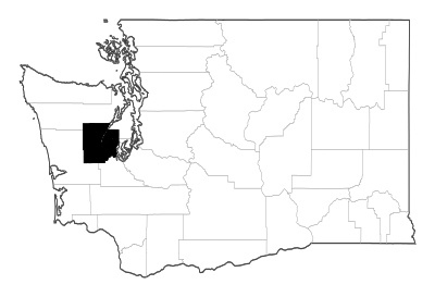 Mason County in Washington