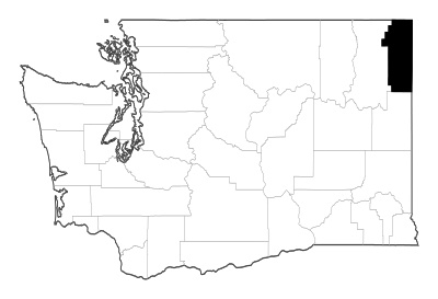 Pend Oreille County in Washington