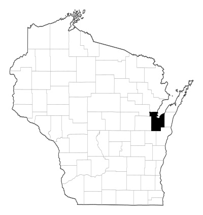 Brown County in Wisconsin