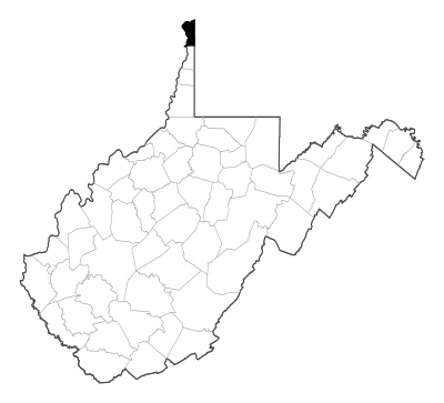 Hancock County in West Virginia