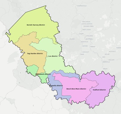 Mingo County WV townships and subdivisions map