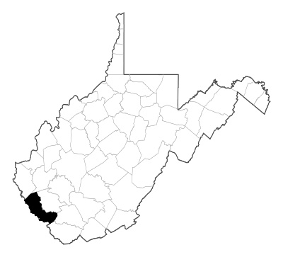 Mingo County in West Virginia