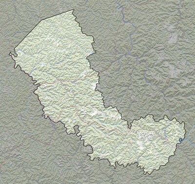 Mingo County WV USGS topo map