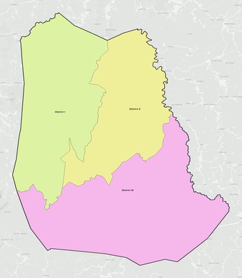 Roane County WV townships and subdivisions map