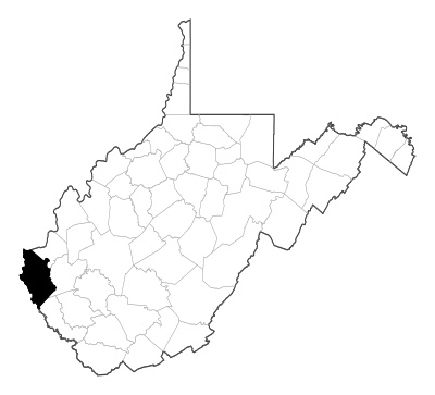 Wayne County in West Virginia